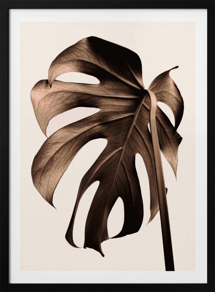 Monstera Gold | Poster