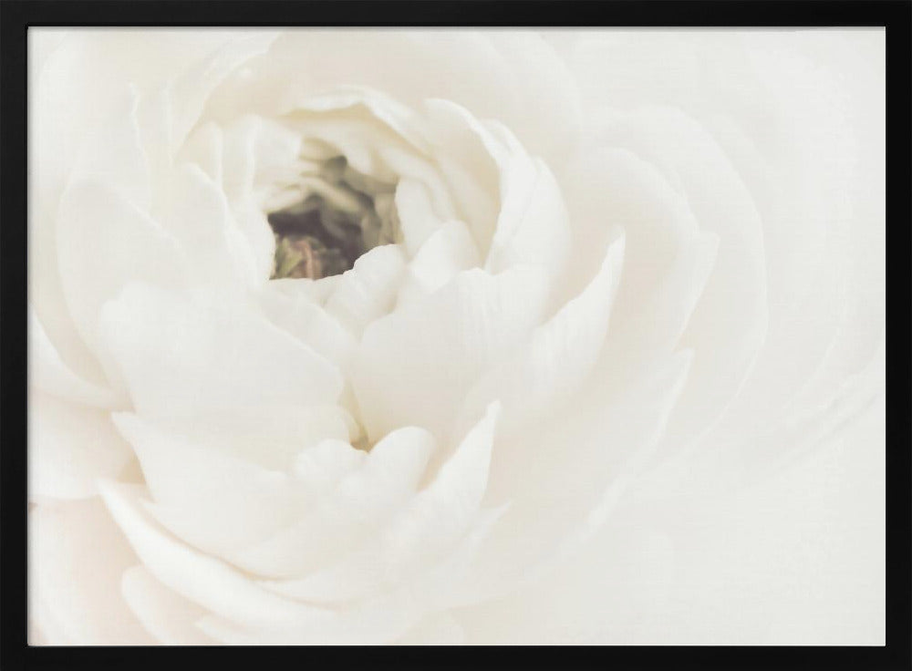 Witte Bloem 02 | Poster