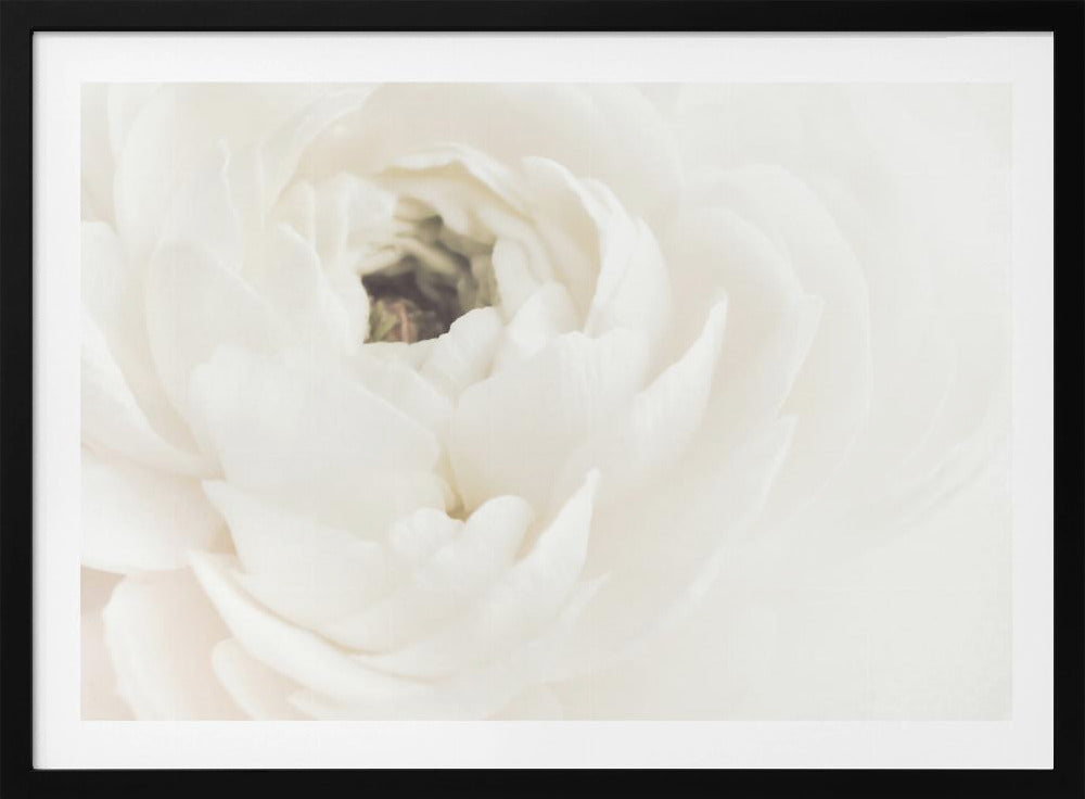 Witte Bloem 02 | Poster