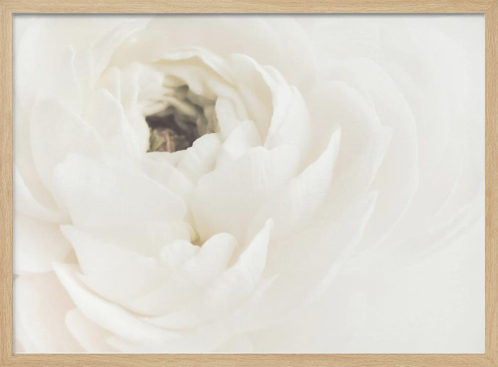 Witte Bloem 02 | Poster