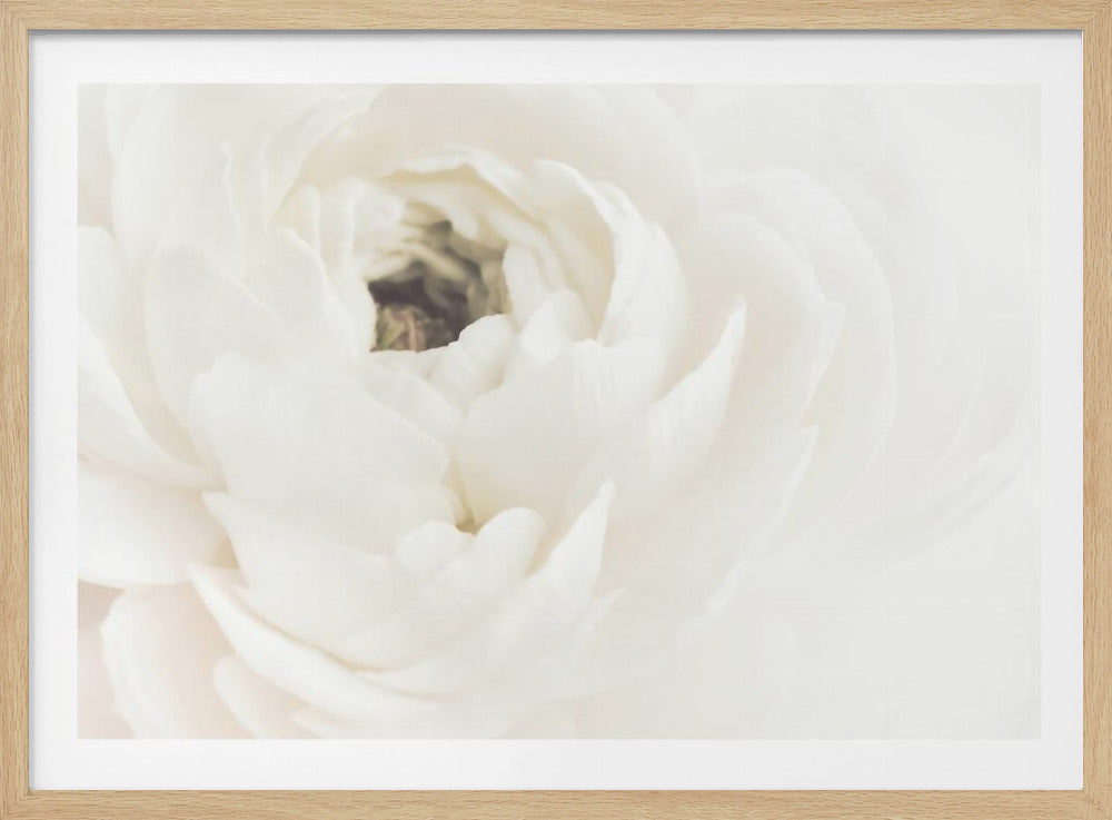 Witte Bloem 02 | Poster