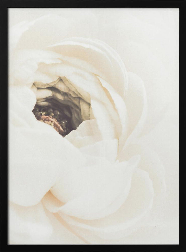 Witte Bloem 01 | Poster