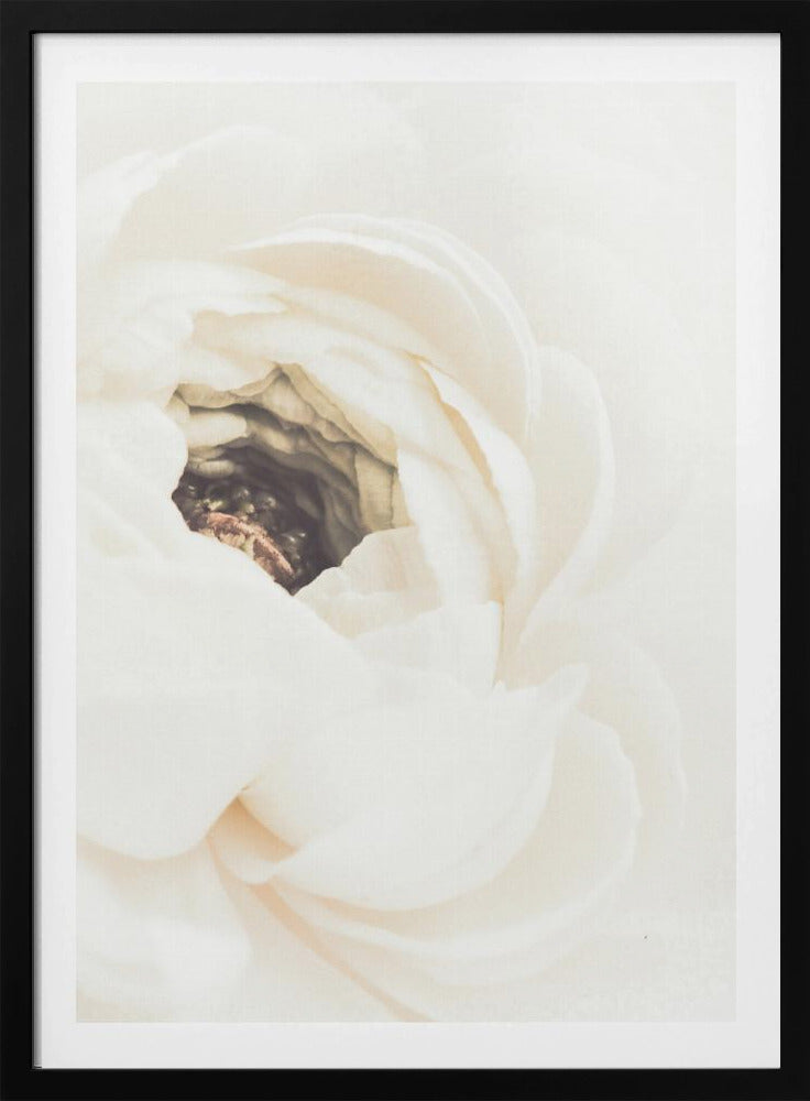 Witte Bloem 01 | Poster