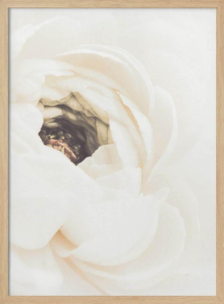 Witte Bloem 01 | Poster