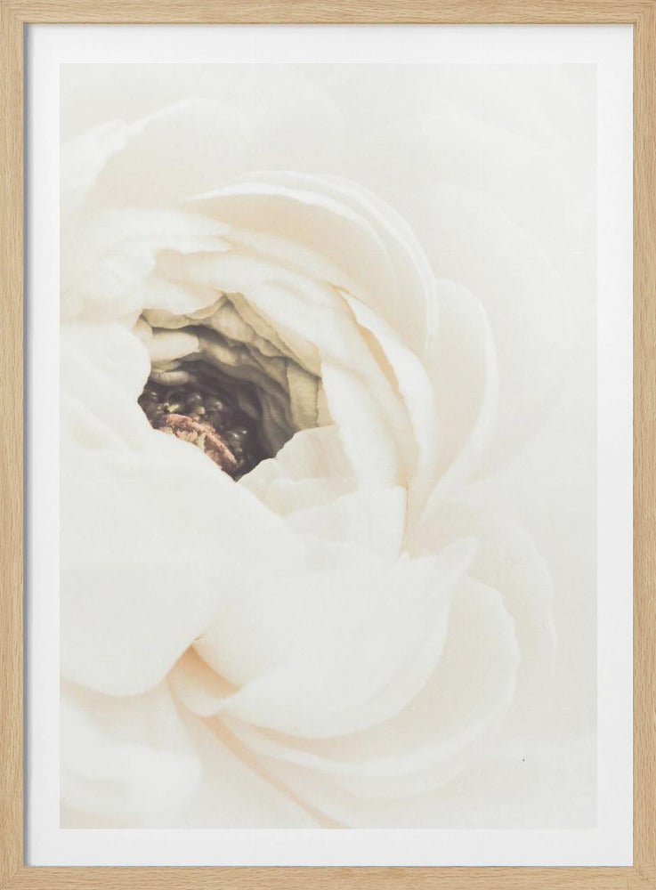 Witte Bloem 01 | Poster