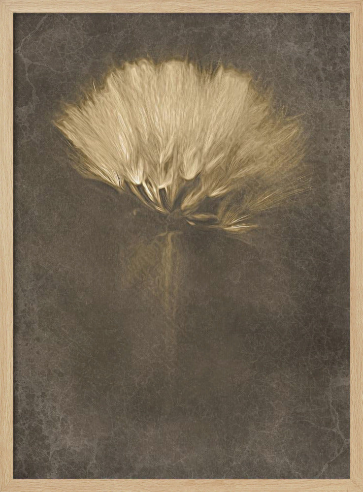 Mysterious Days | Poster