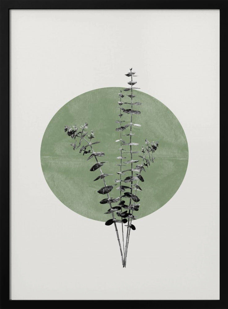 Echo van de natuur | Poster