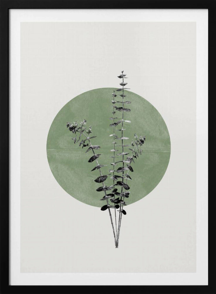 Echo van de natuur | Poster
