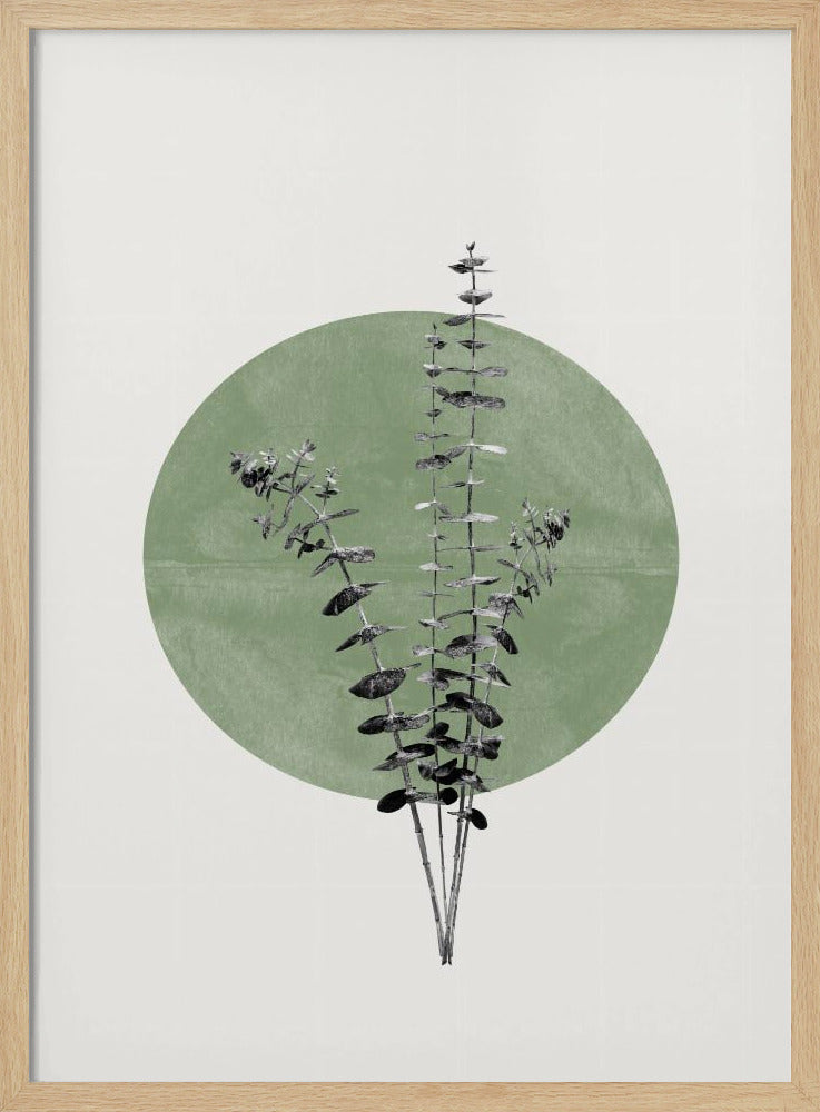 Echo van de natuur | Poster