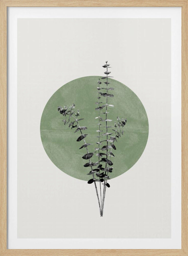 Echo van de natuur | Poster