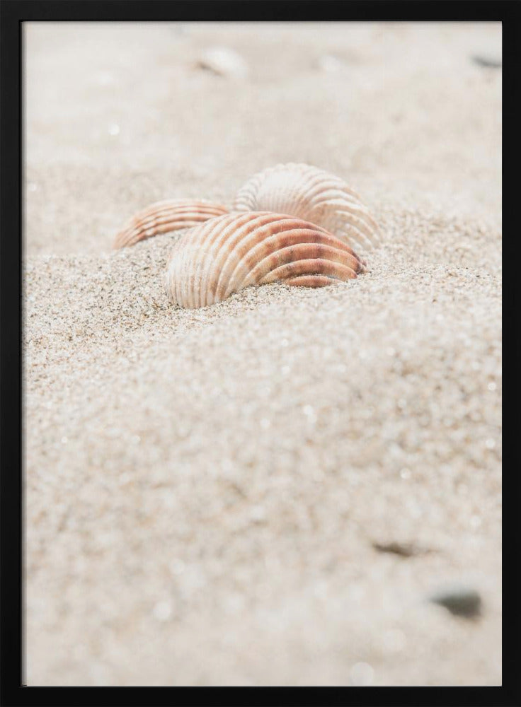 Strand_014 | Poster