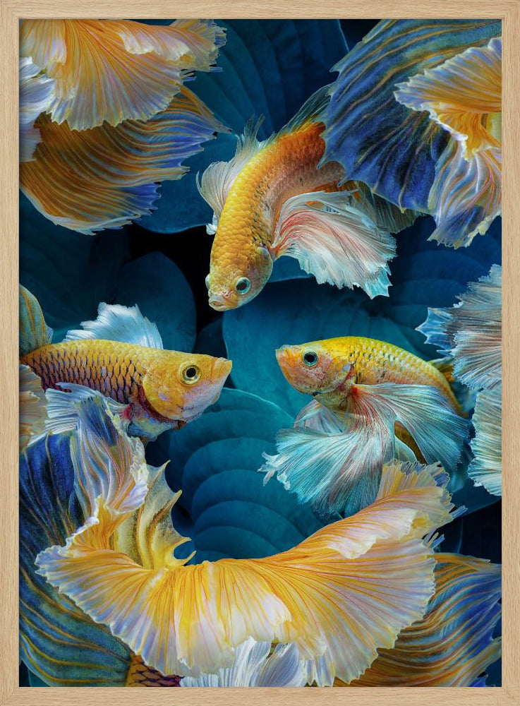 KleurVis | Poster