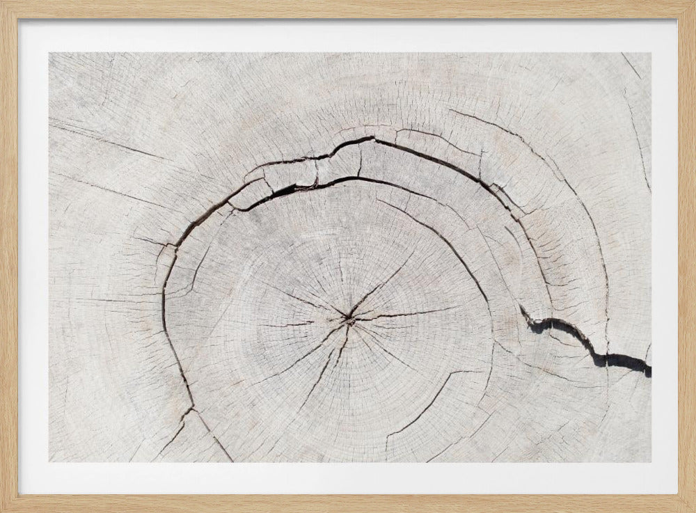 Texture 05 | Poster