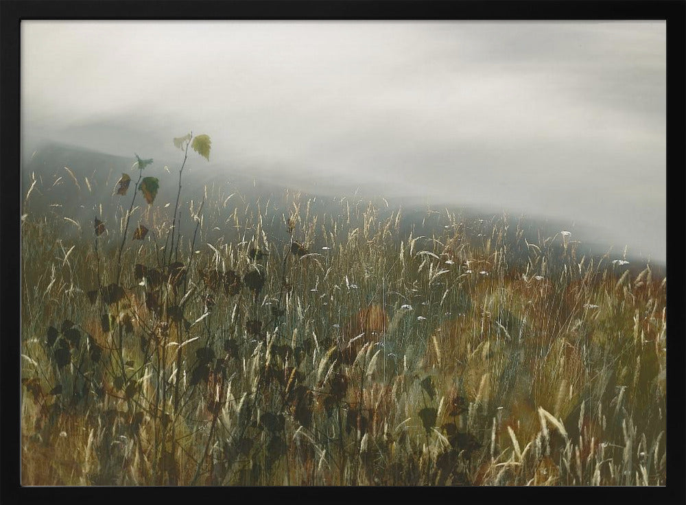 In het veld | Poster