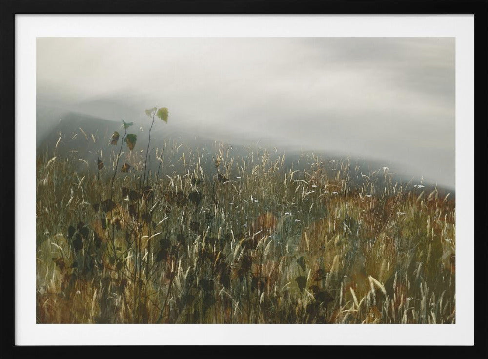 In het veld | Poster