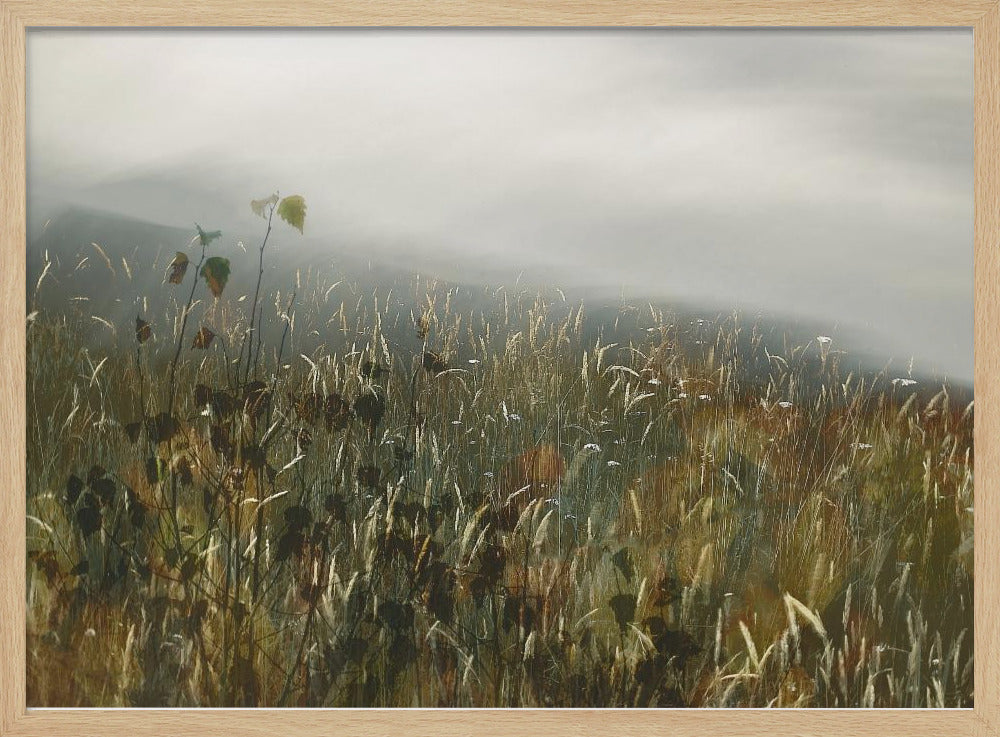 In het veld | Poster