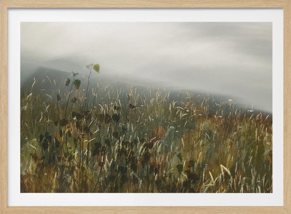 In het veld | Poster
