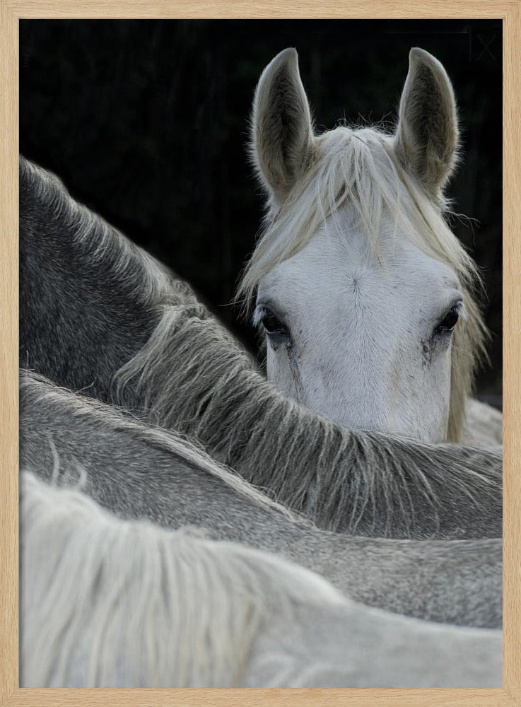 Kijk | Poster