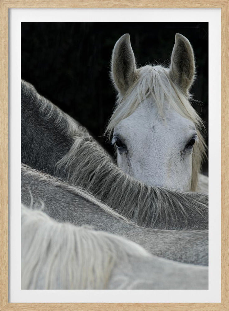 Kijk | Poster