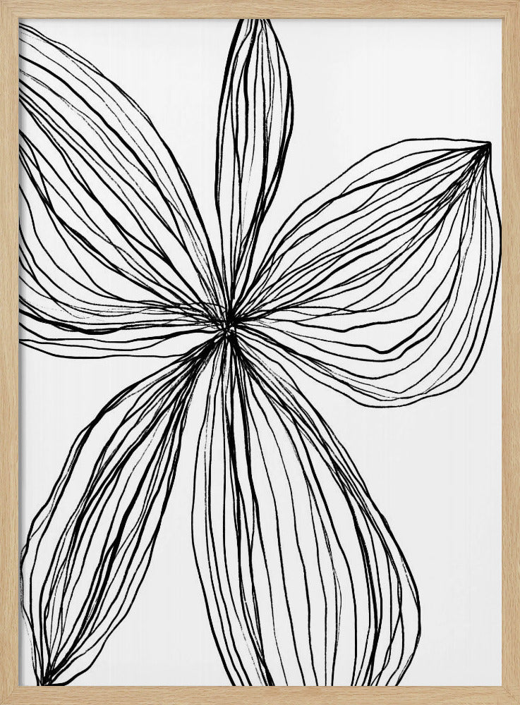 Minimalistische zwart-witte bloemblaadjes | Poster