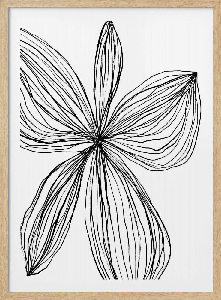 Minimalistische zwart-witte bloemblaadjes | Poster