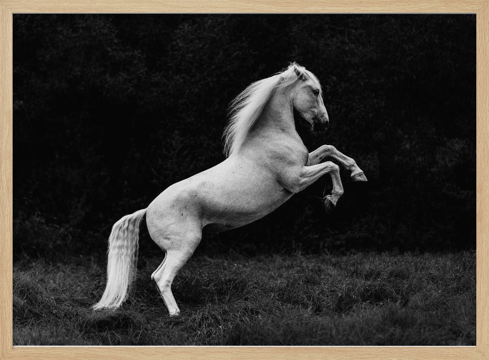 a short story of a blade of grass in a hoof | Poster