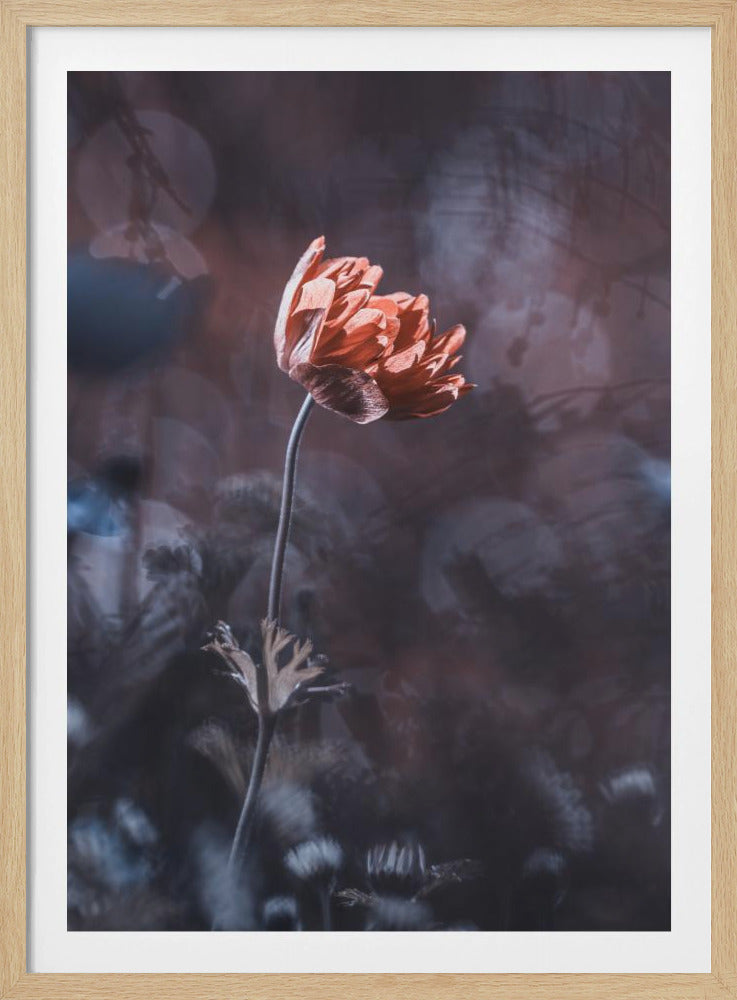 Elegantie | Poster