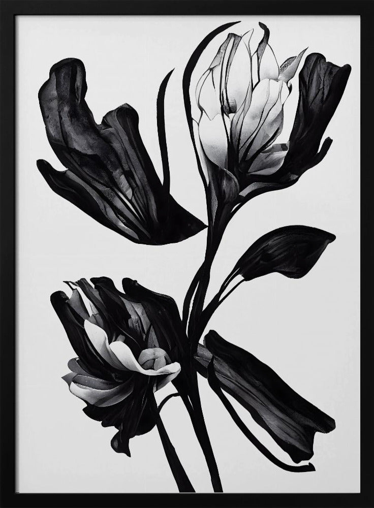 Zwarte bloem | Poster