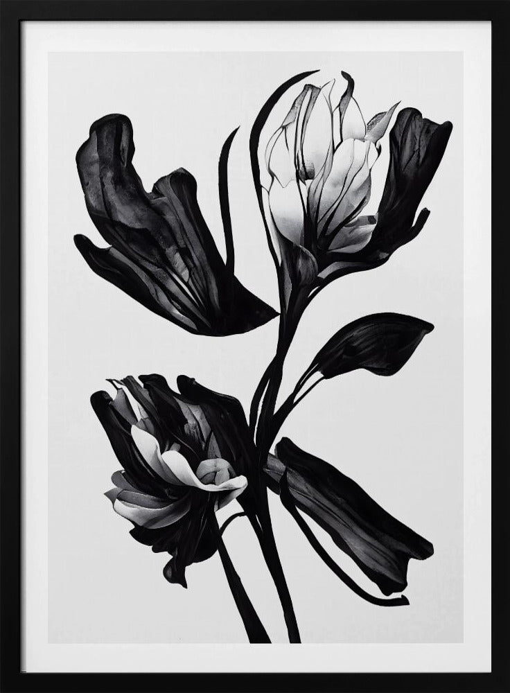 Zwarte bloem | Poster