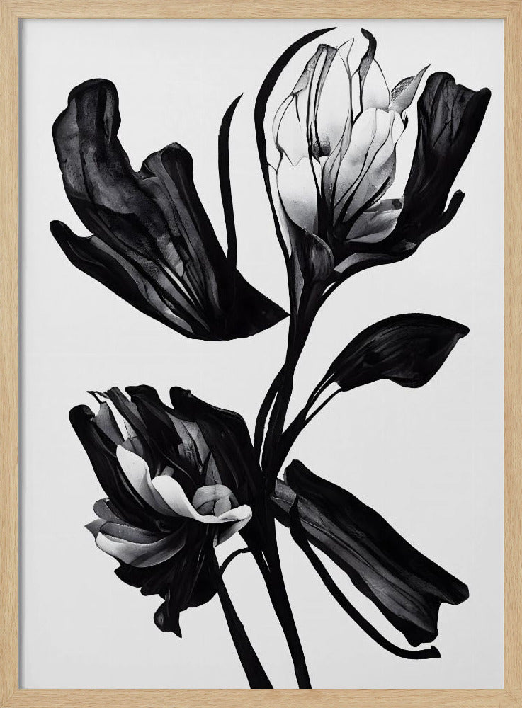 Zwarte bloem | Poster
