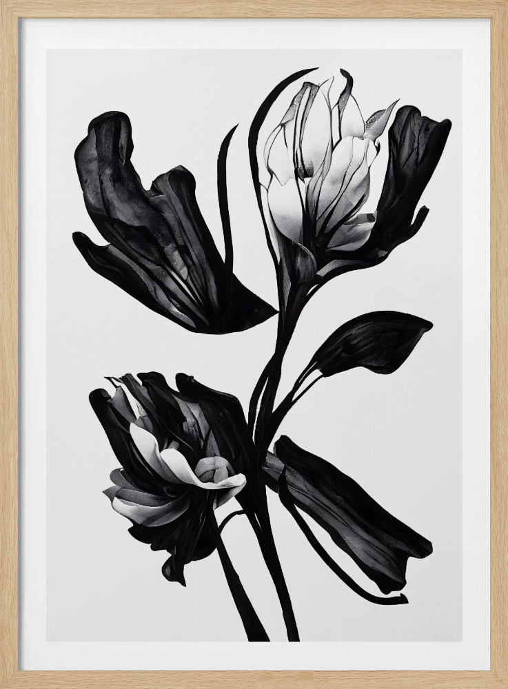 Zwarte bloem | Poster