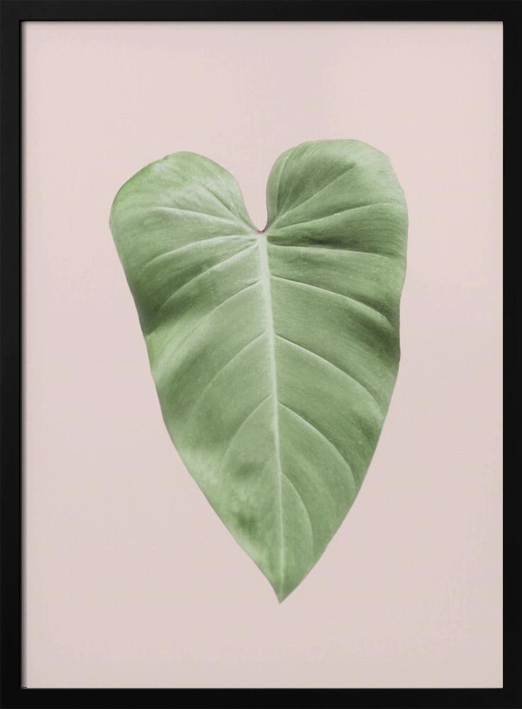 Tropisch bladblush | Poster