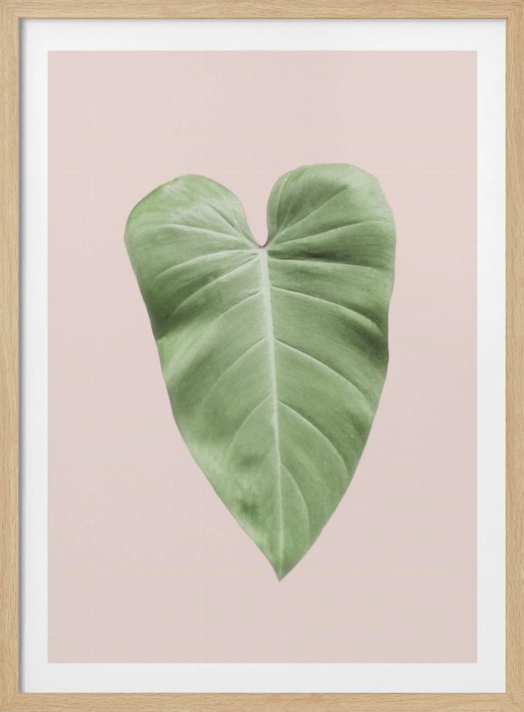 Tropisch bladblush | Poster