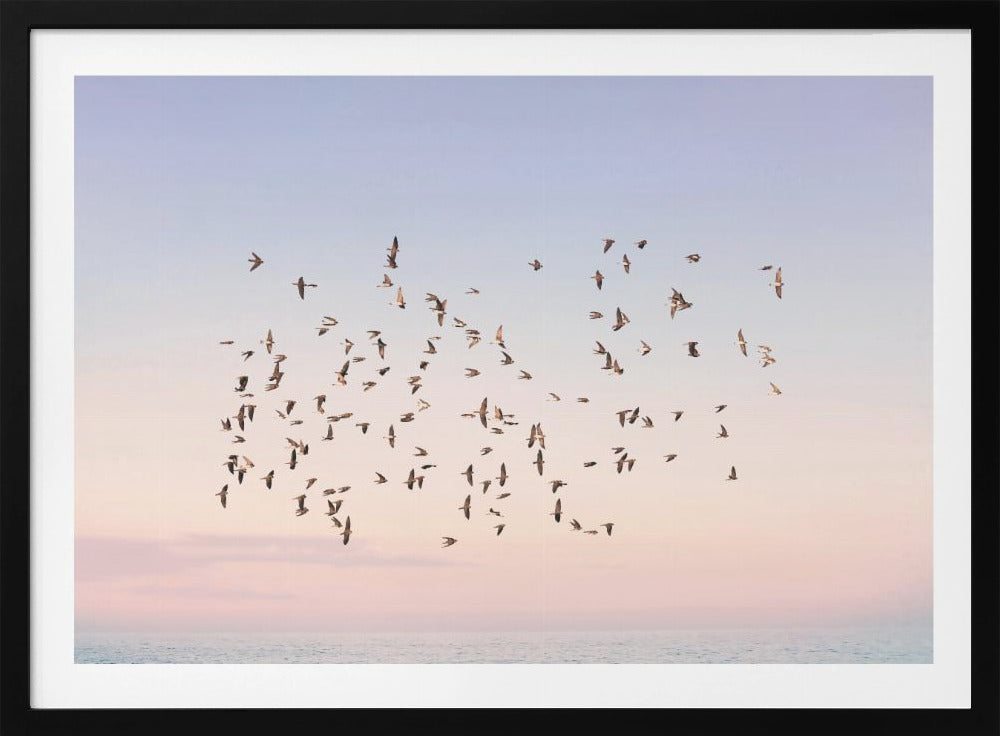 Zonsondergangvlucht | Poster