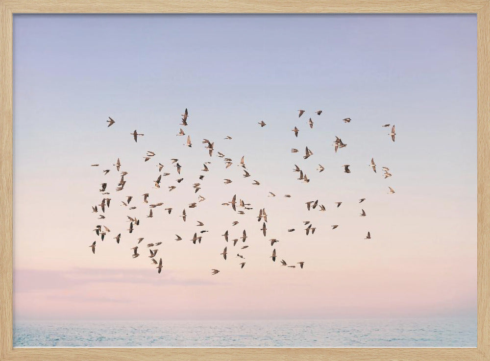 Zonsondergangvlucht | Poster