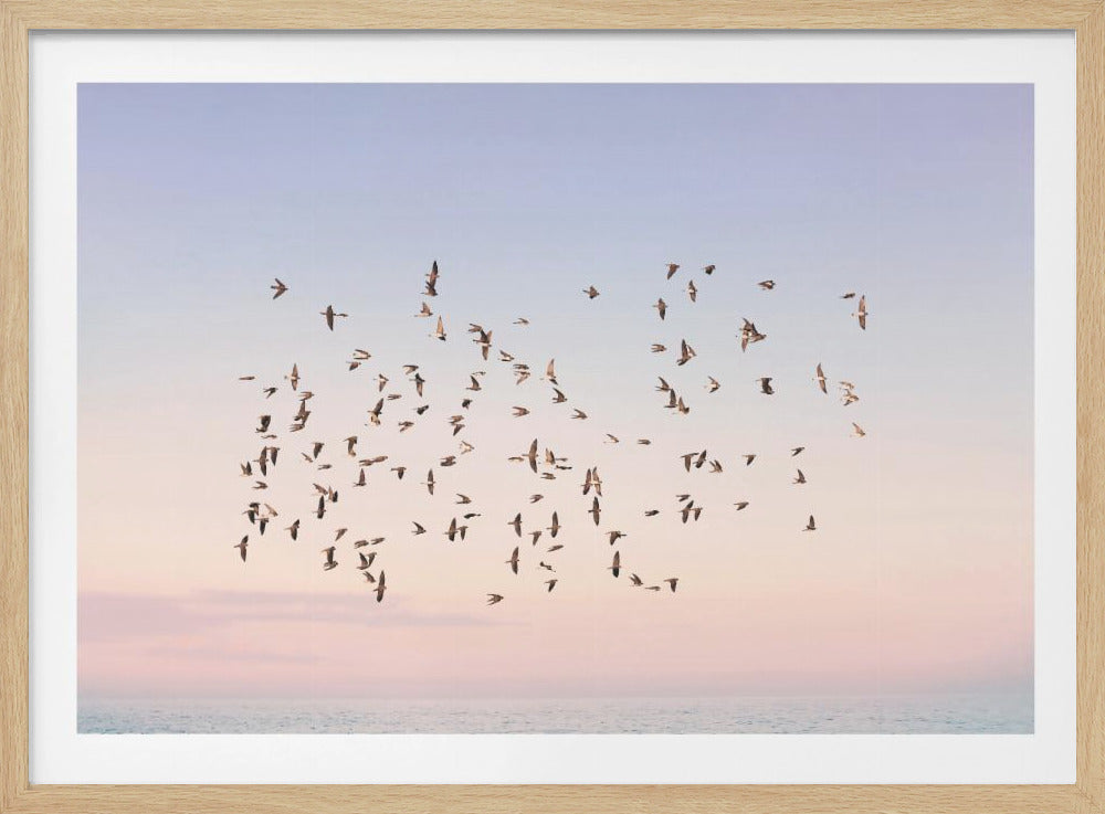 Zonsondergangvlucht | Poster
