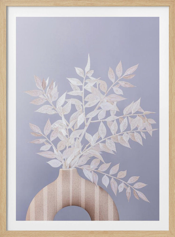 Ruscus | Poster