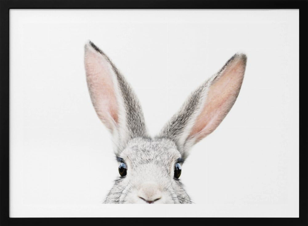 Glurende Bunny | Poster