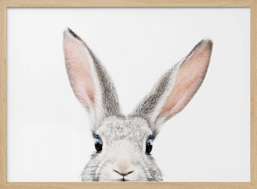Glurende Bunny | Poster