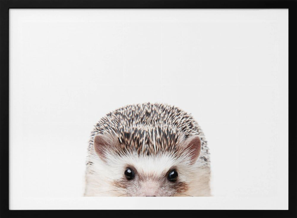 Glurende Egel | Poster