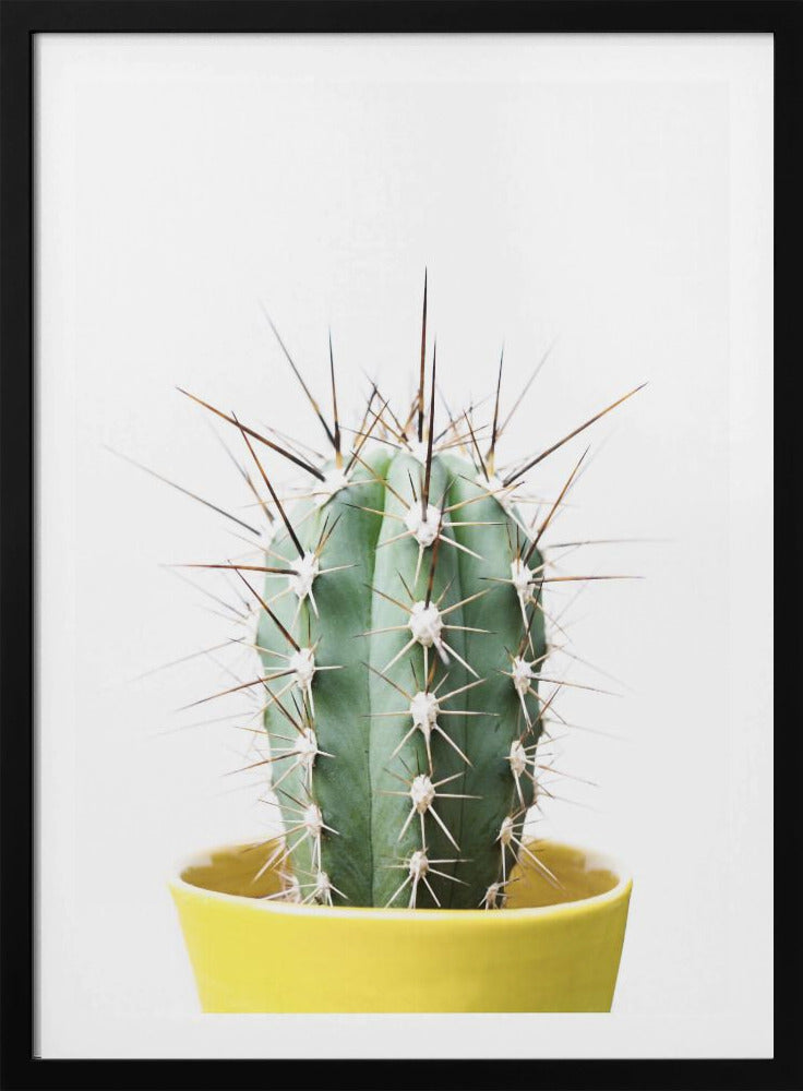 Stekelige Cactus | Poster
