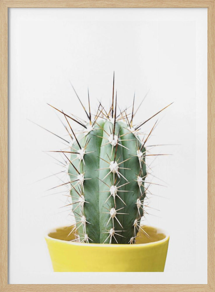 Stekelige Cactus | Poster