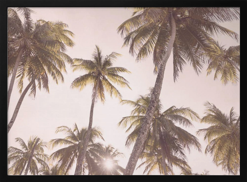 Blozende palmbomen | Poster