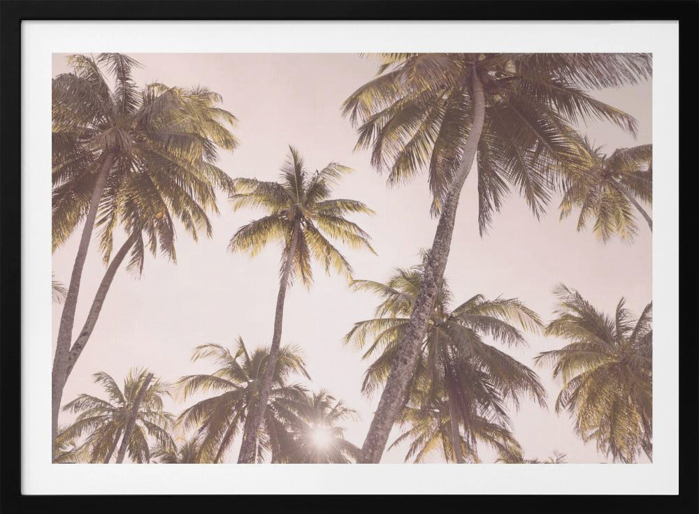 Blozende palmbomen | Poster