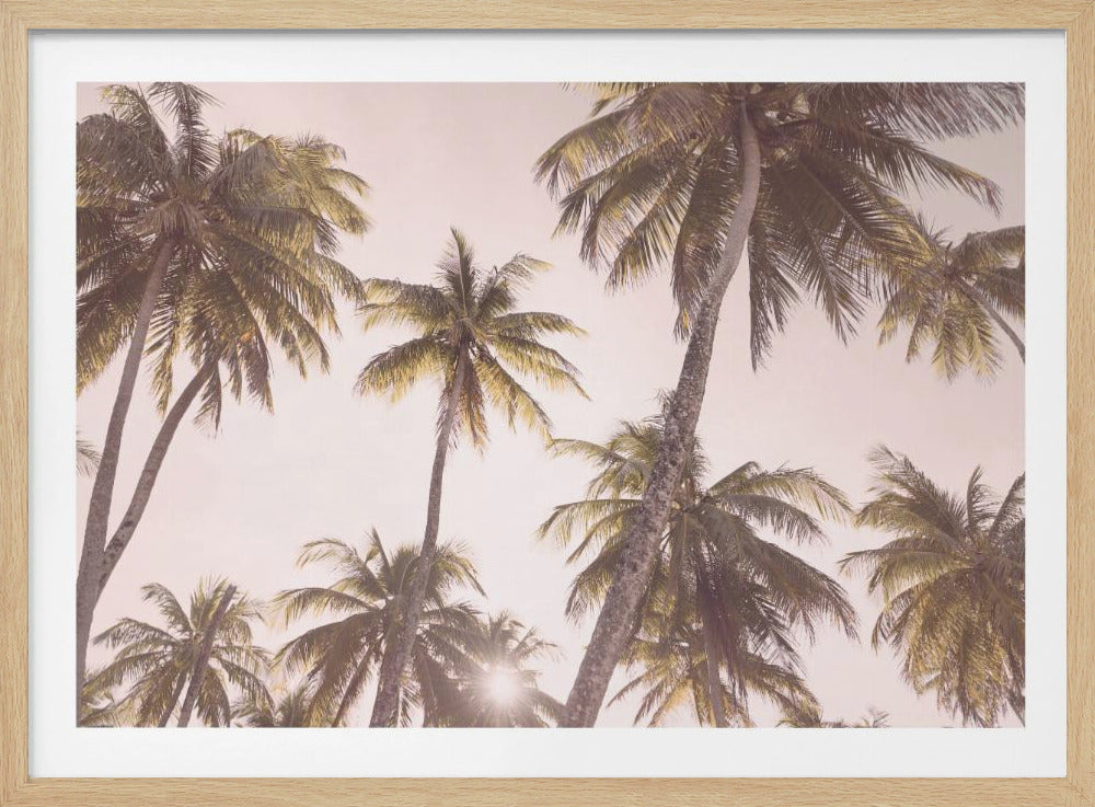 Blozende palmbomen | Poster
