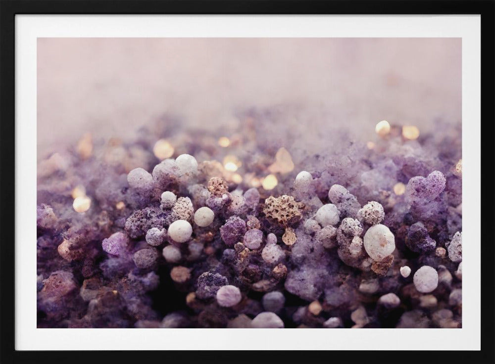 Mystieke Lavendelnevel | Poster