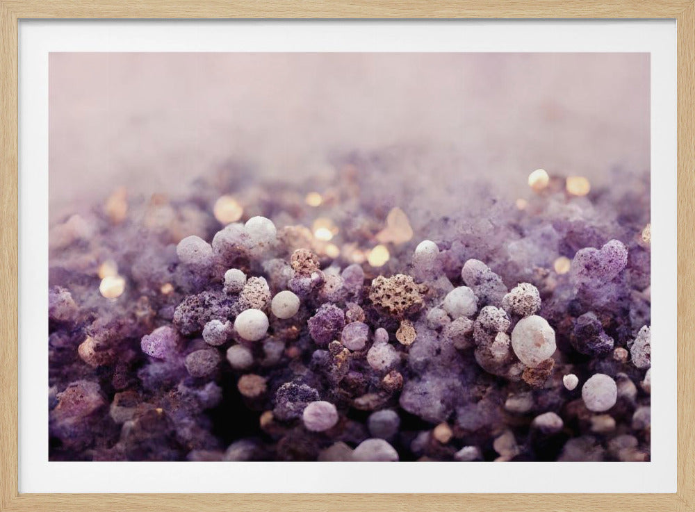 Mystieke Lavendelnevel | Poster