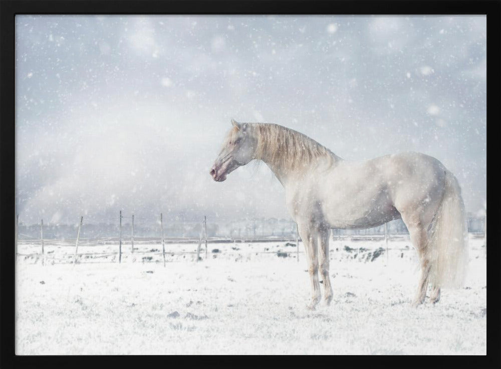 Laat het sneeuwen... | Poster