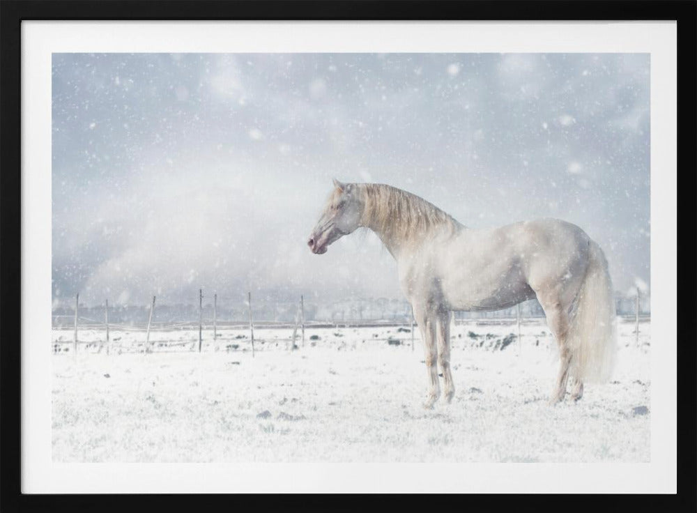 Laat het sneeuwen... | Poster
