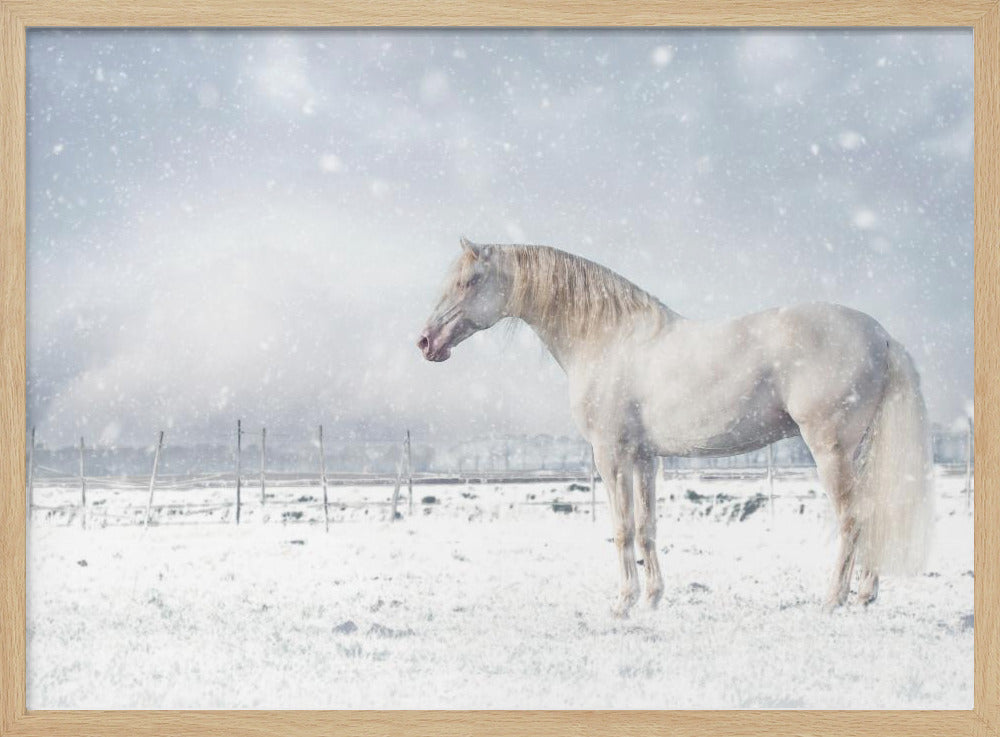 Laat het sneeuwen... | Poster